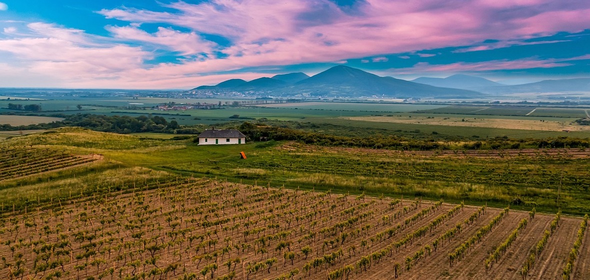 Photo of Tokaj