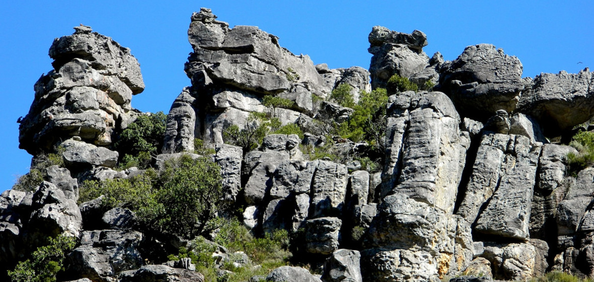 Photo of Wellington, Western Cape