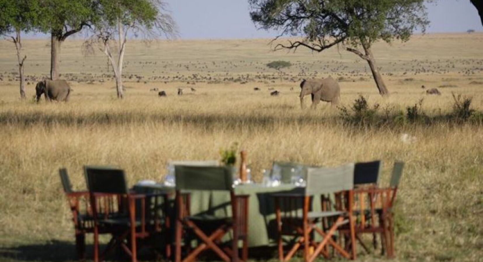 Al Fresco Dining