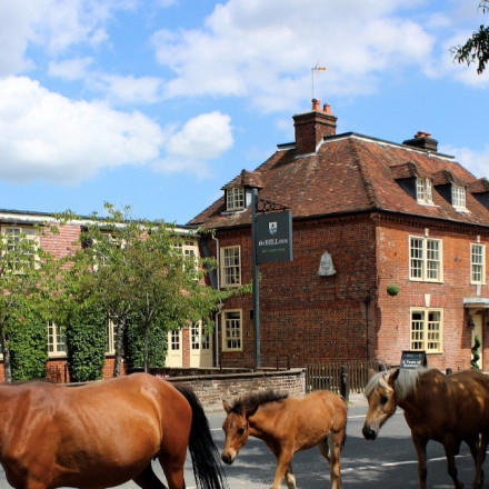 Die 7 besten Pubs mit Zimmern im New Forest