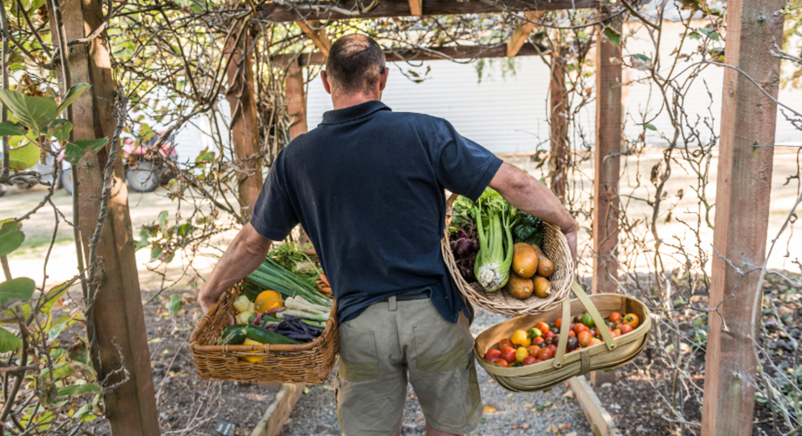 Organic vegetables