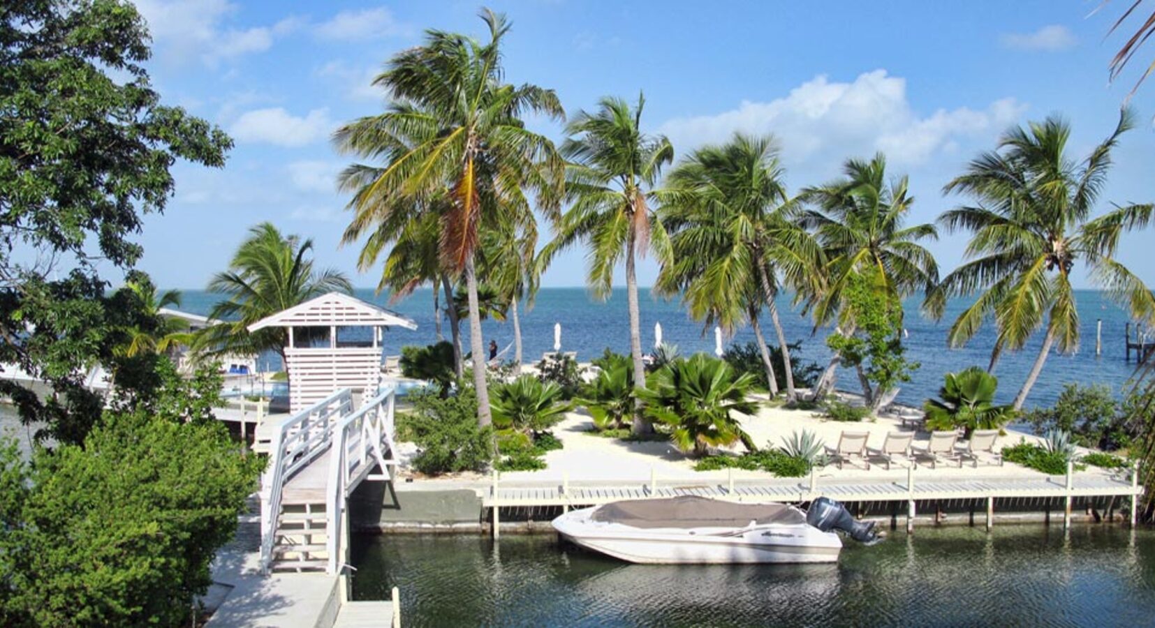 Palm trees on the terrace