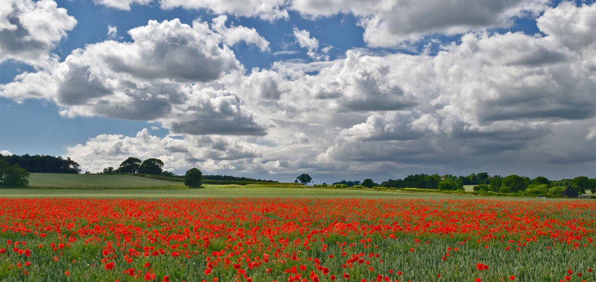 Photo of Suffolk