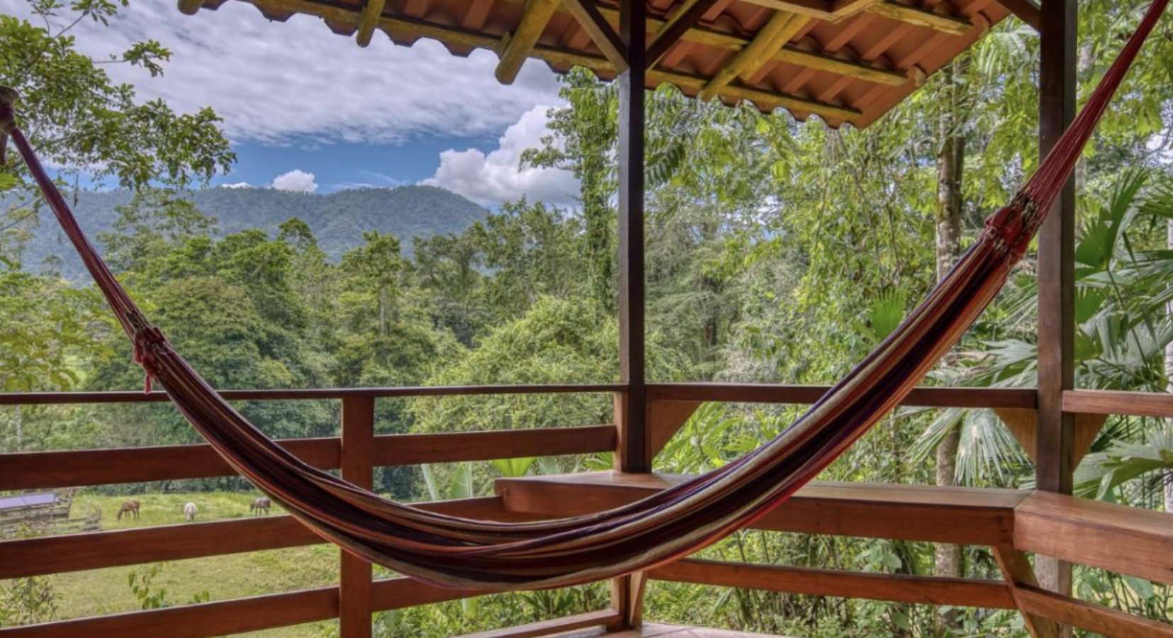 Photo of Selva Bananito Lodge 