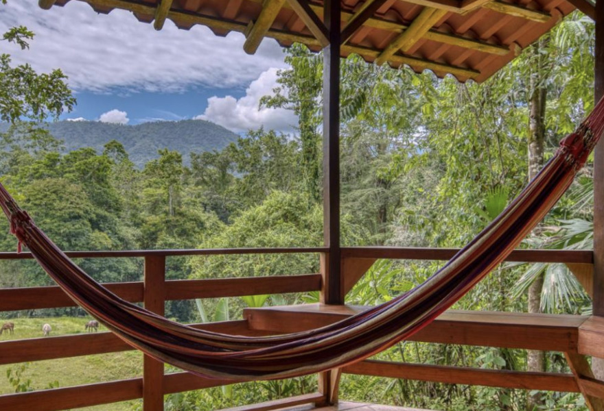 Selva Bananito Lodge 