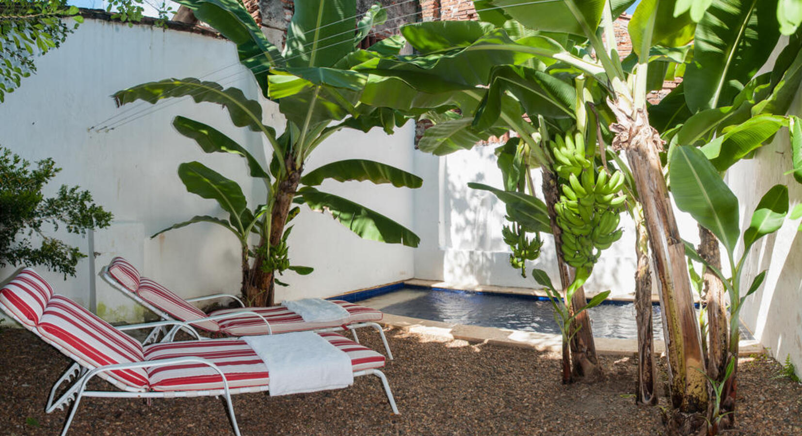 Courtyard Garden