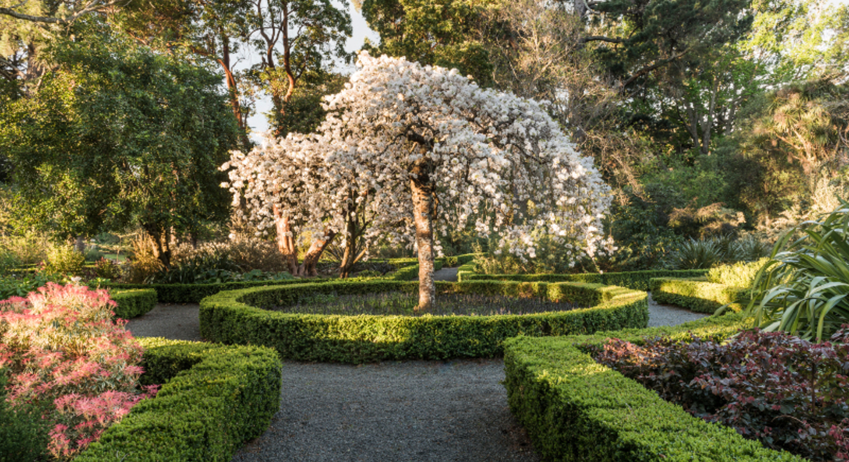 Garden detail