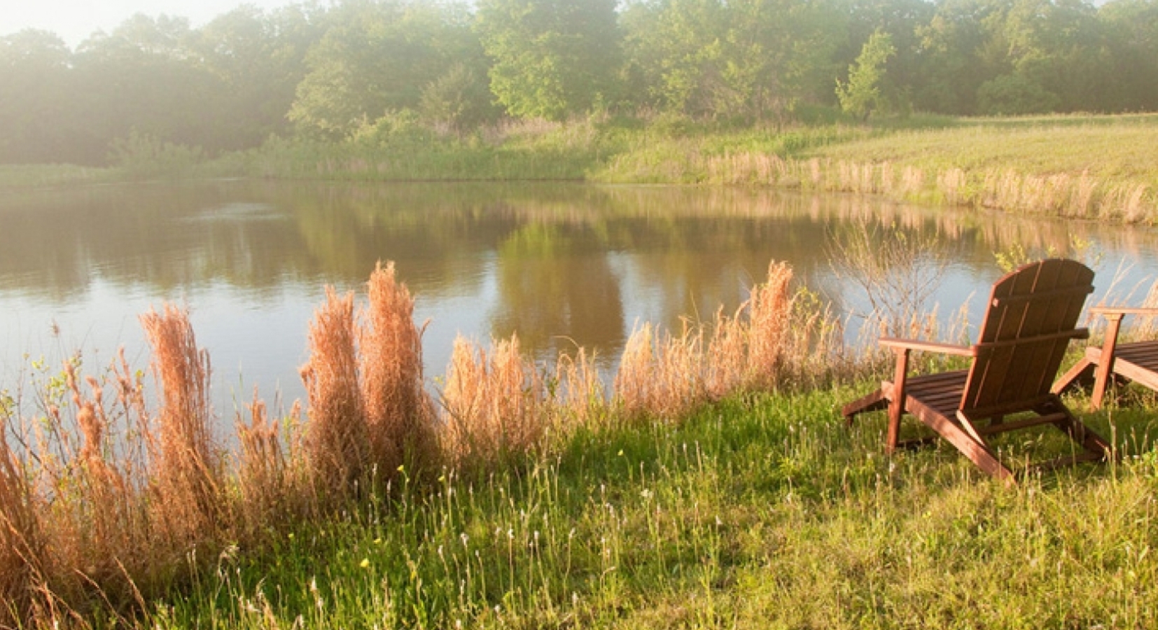 The pond