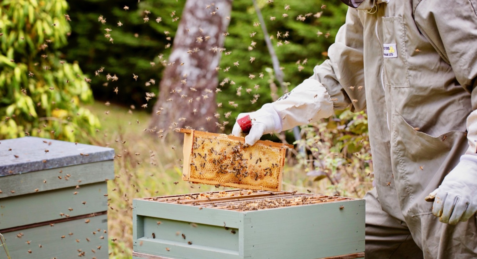 Burleigh Court Bee Keeping