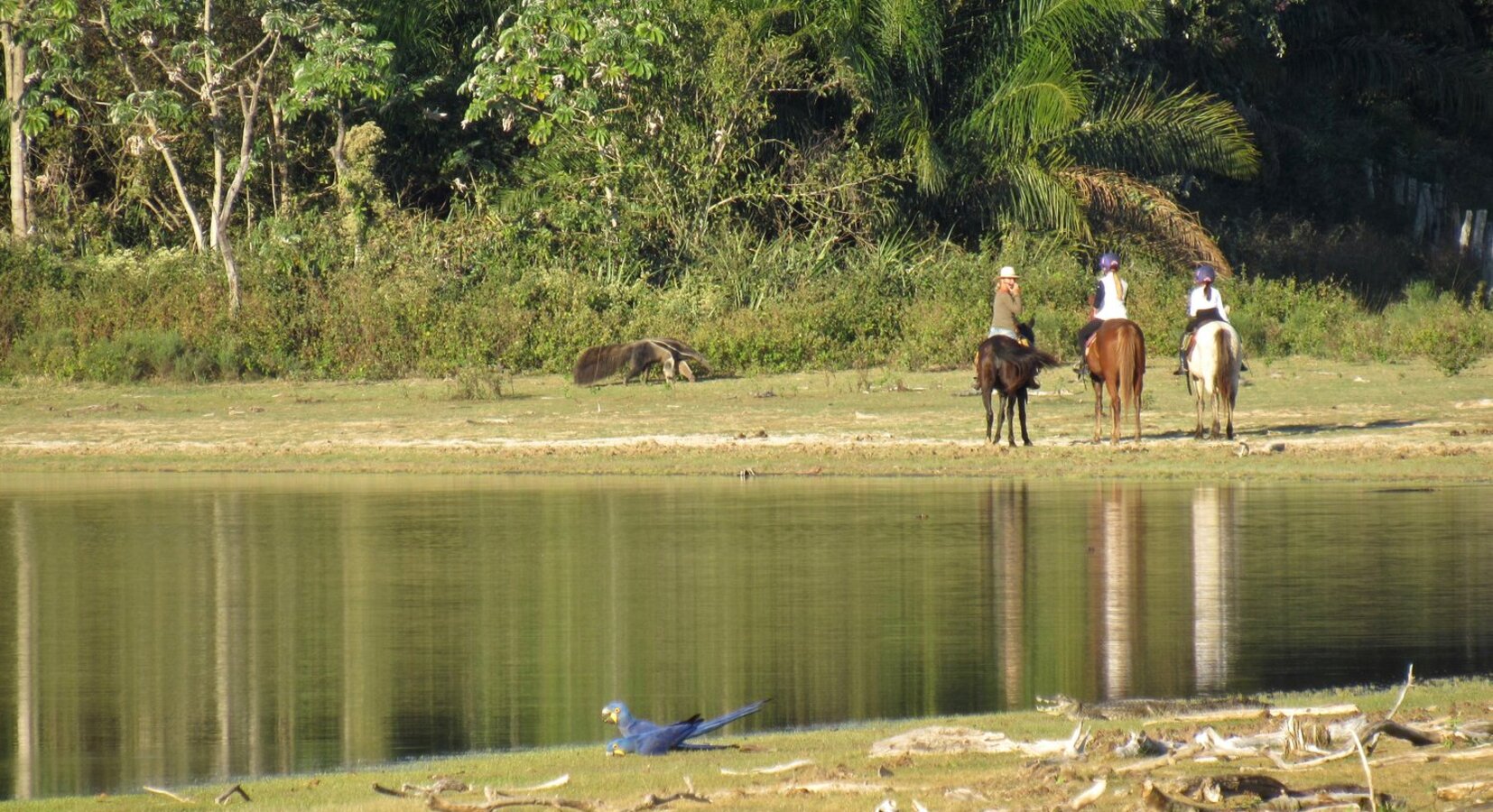 Horseriding excursion