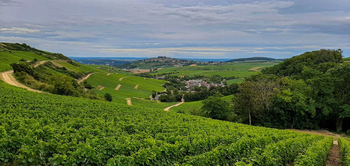 Photo of Sancerre