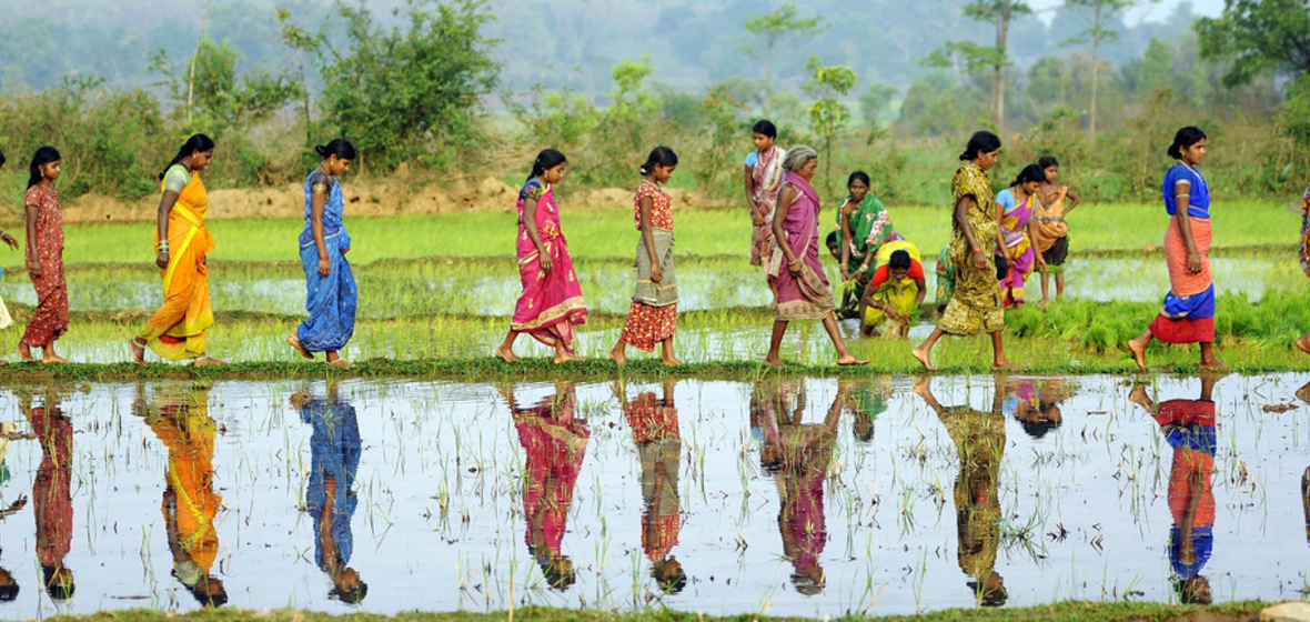 Photo de Odisha