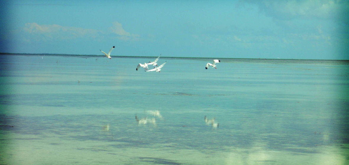 Photo of Holbox