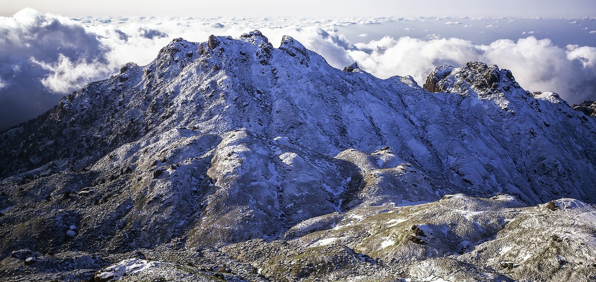 Foto von Yakushima