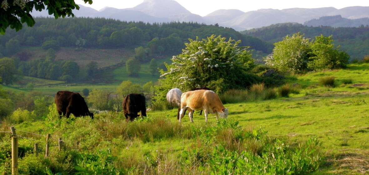 Foto von County Leitrim