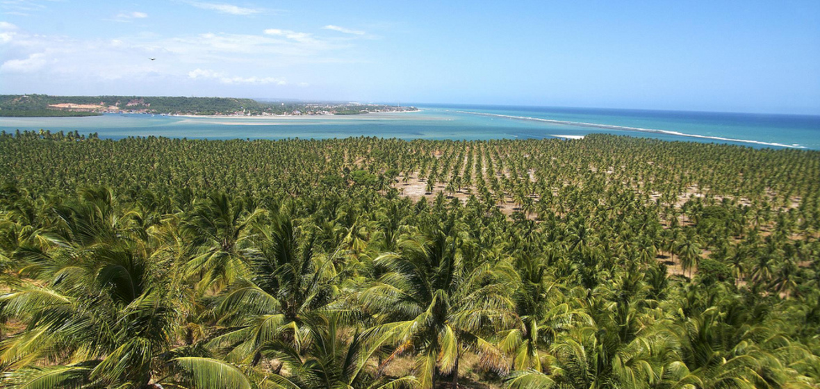 Photo de Barra de Sao Miguel