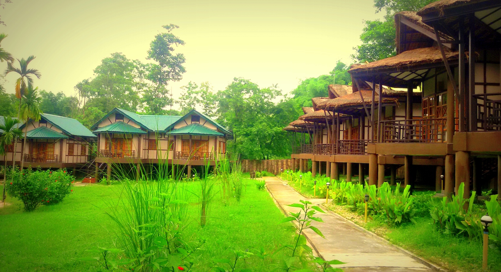 Photo of Infinity Resort Kaziranga