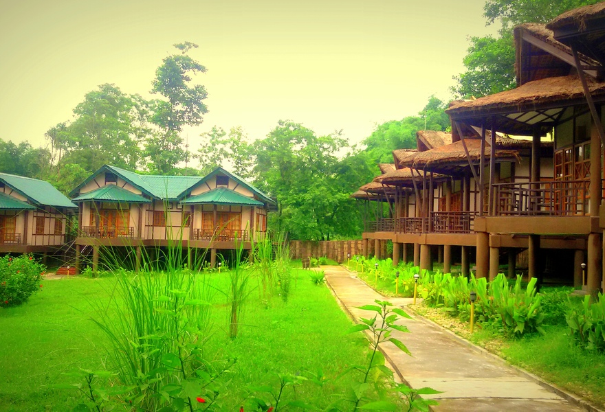 Infinity Resort Kaziranga