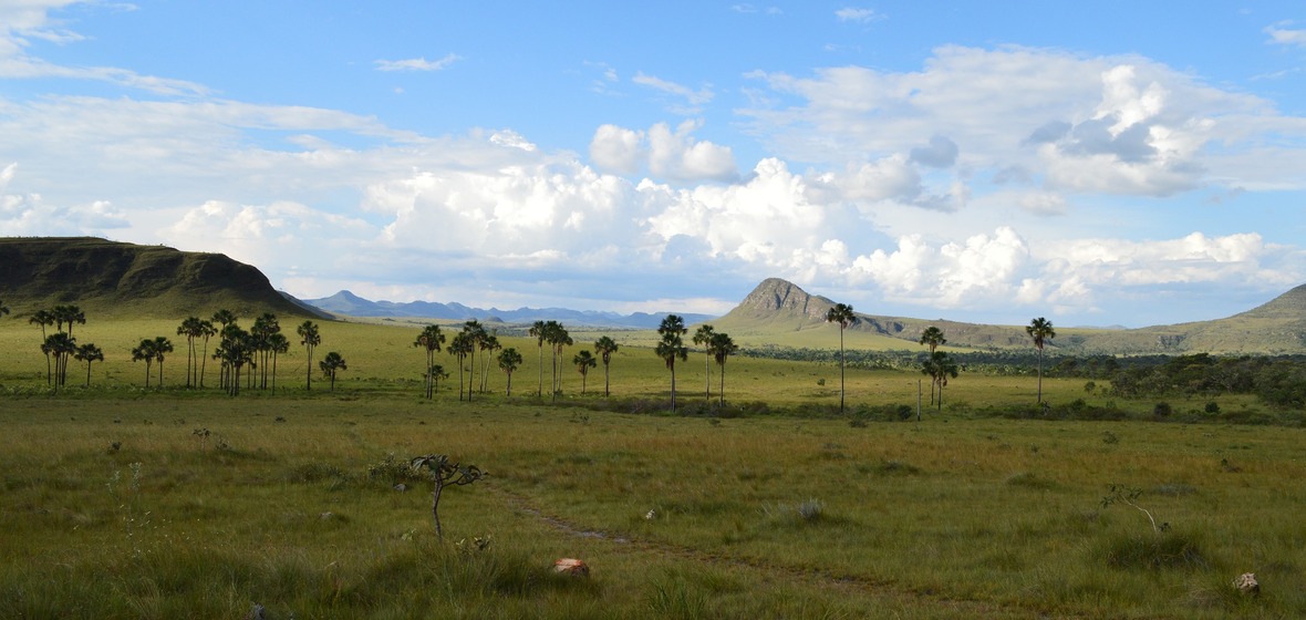 Photo of Goias