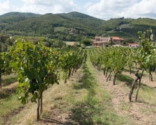 19 Beste Weinhotels in Chianti