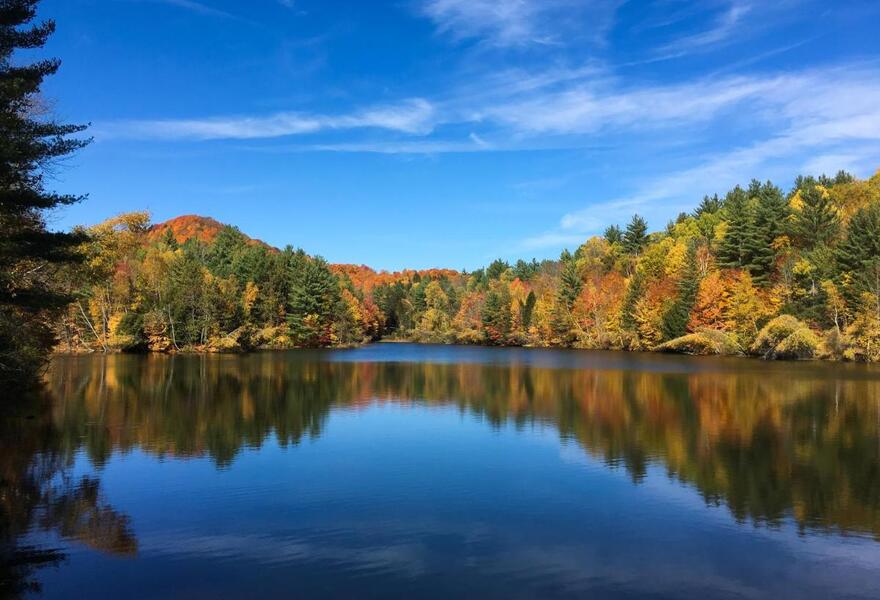 Mountain Meadows Lodge