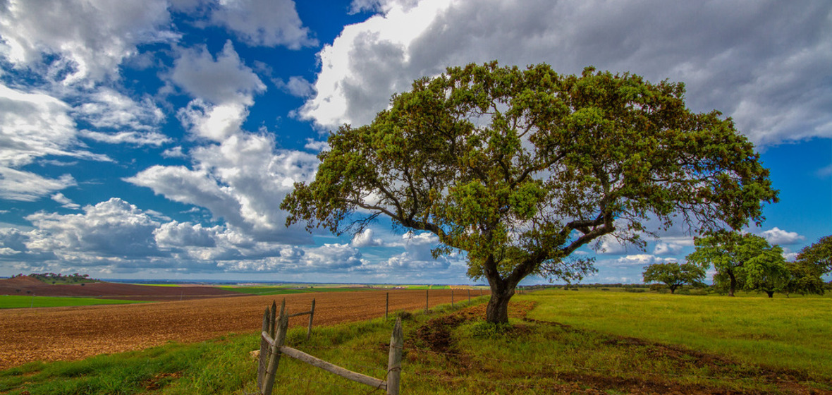 Foto von Alentejo