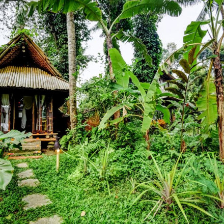 Les 5 meilleurs hôtels pour la faune et la flore à Bali