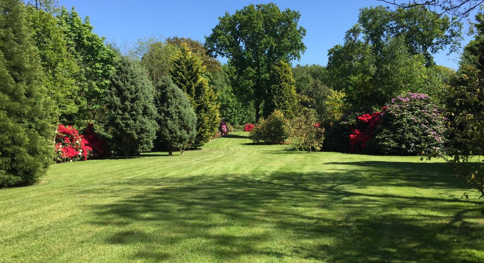 Hotel garden view