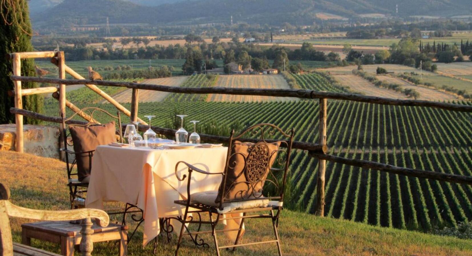 Dining by the vines