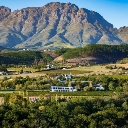 Die 14 besten Weinhotels in Stellenbosch