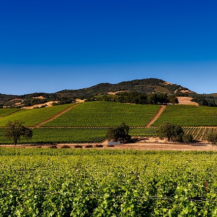 20 meilleurs hôtels dans le Wine Country de Californie