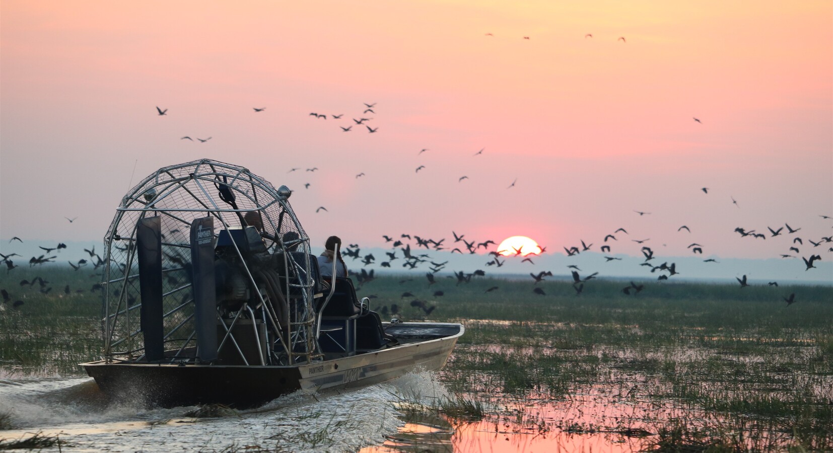 Airboat safari