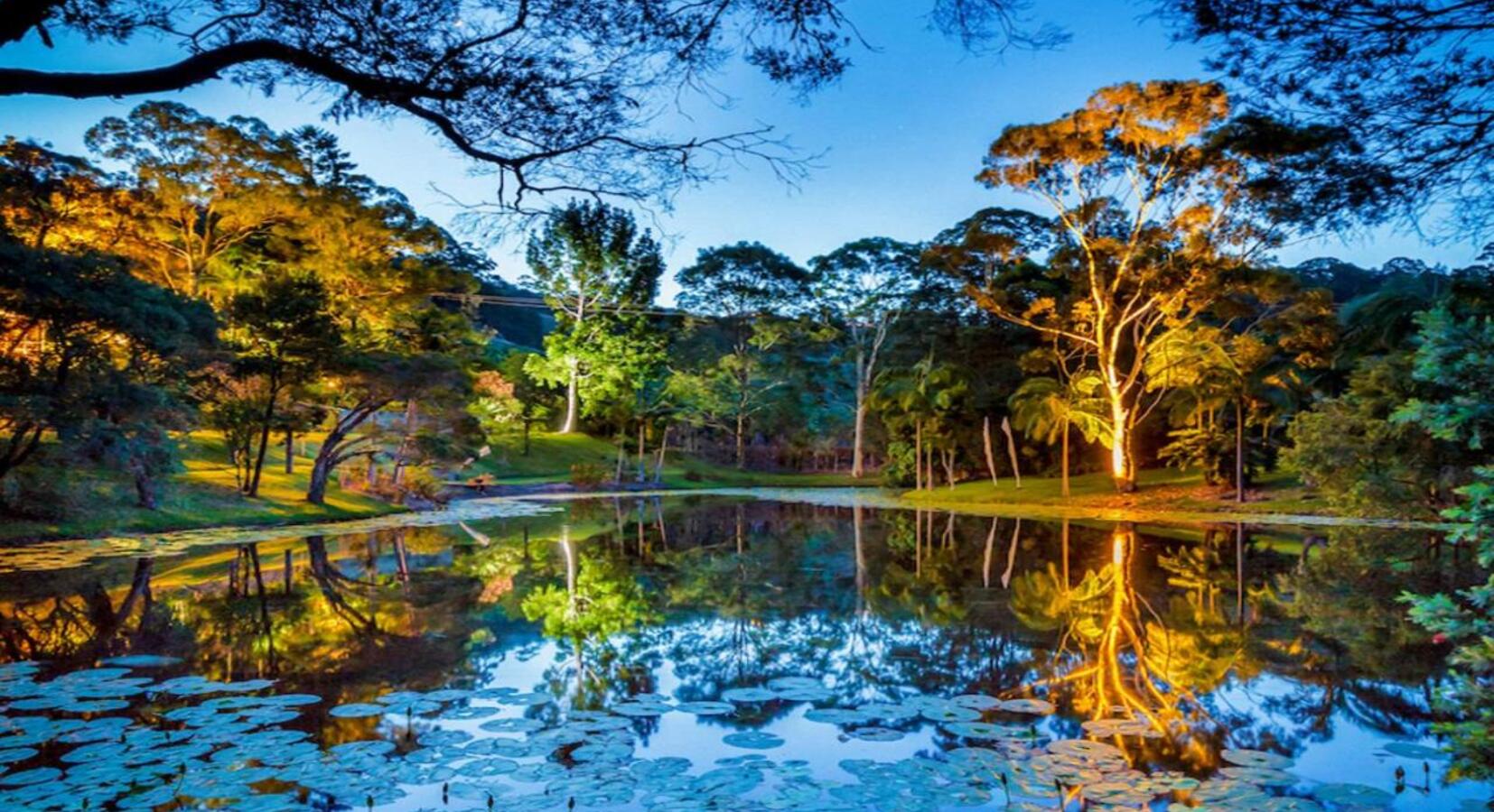 Pond at night