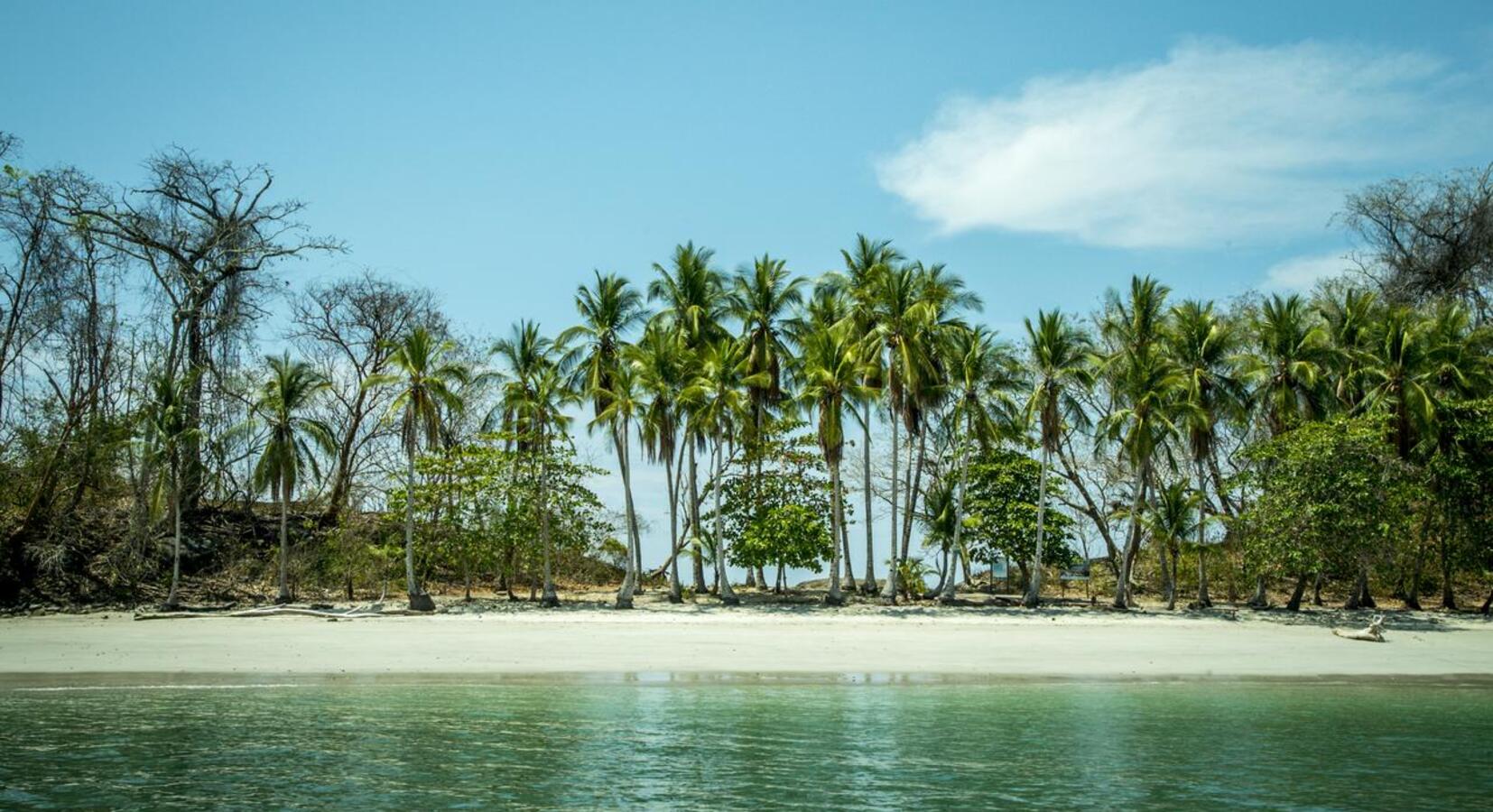 Hotel beach access