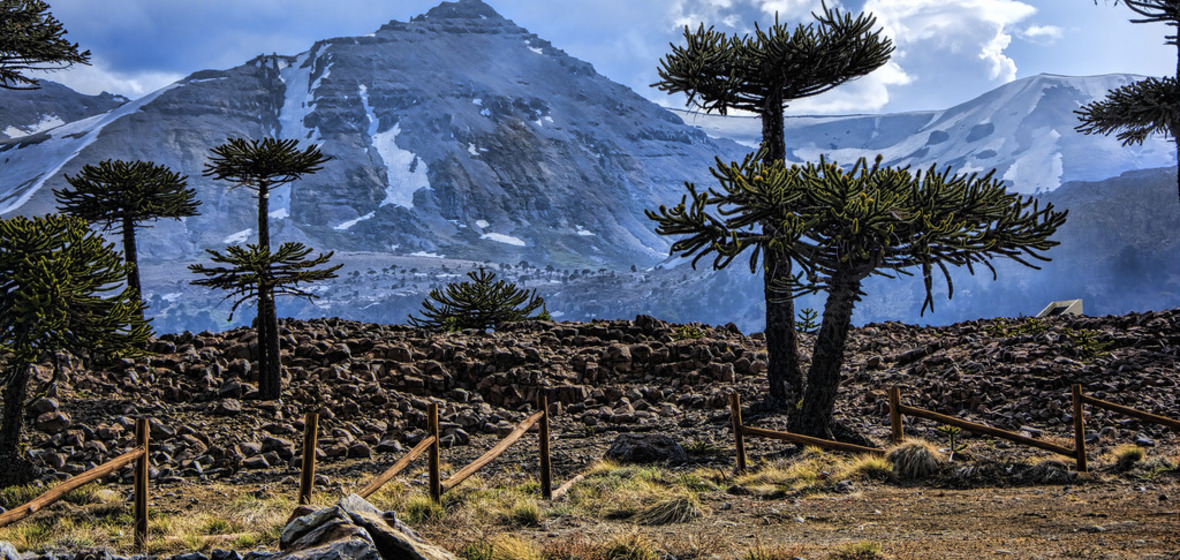 Photo of Neuquen Province