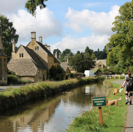 20 Best Dog Friendly Hotels in The Cotswolds