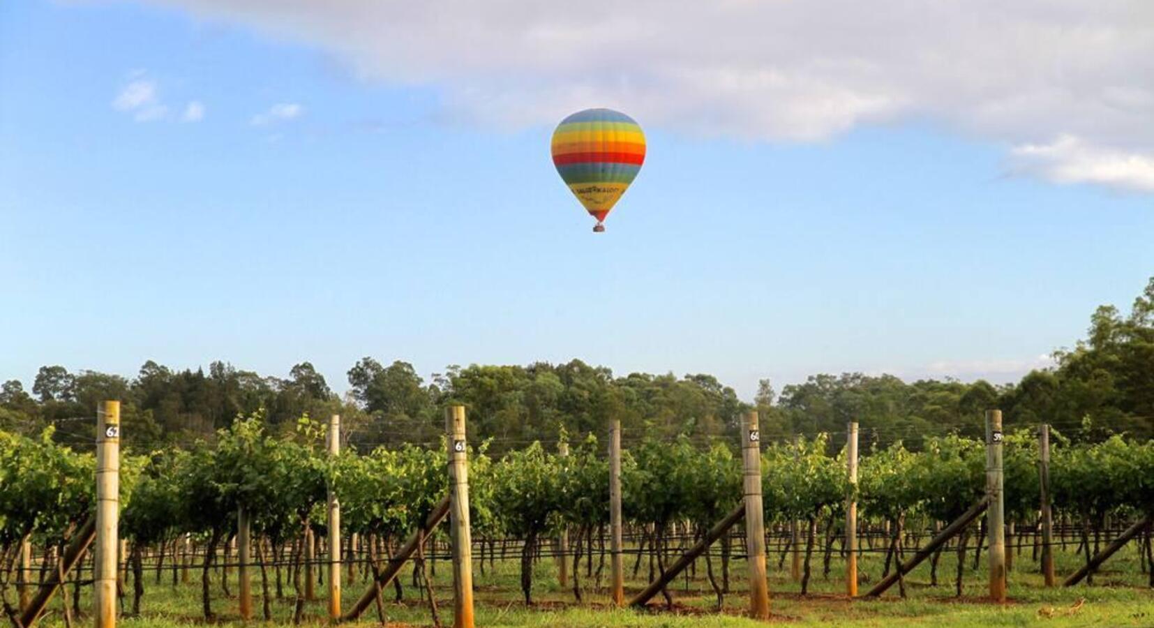 Vineyard Views