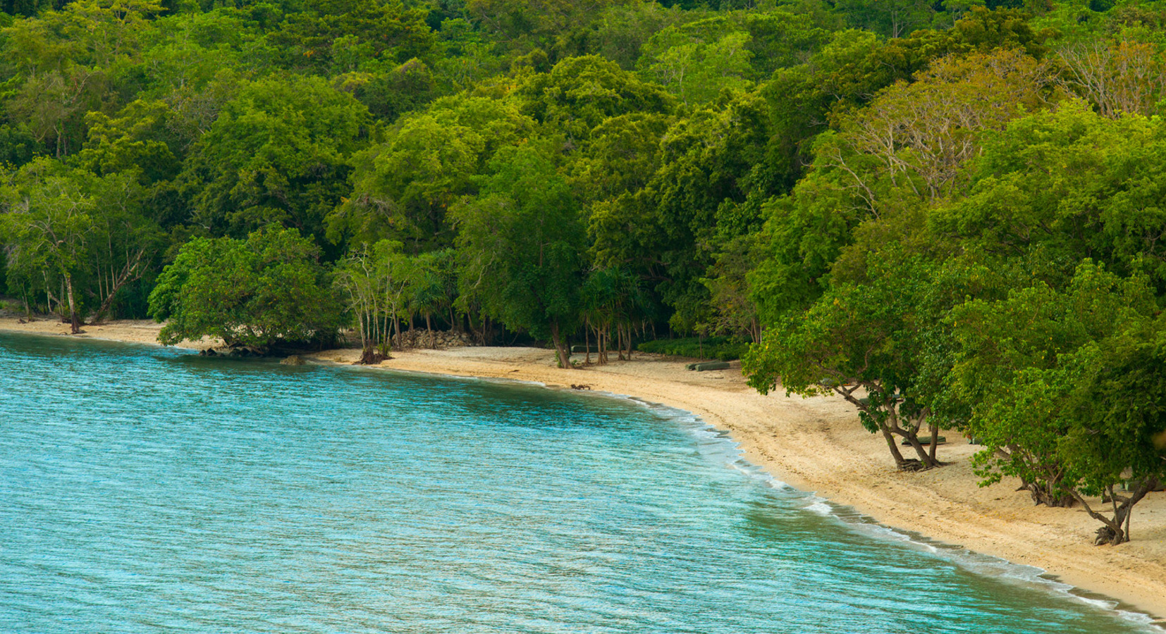 Wild Coastline