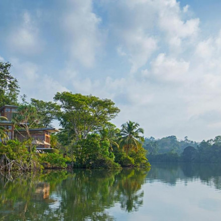 9 of the Best Wildlife Hotels in Sri Lanka