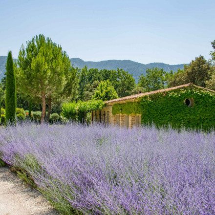 The 20 Best B&Bs in Provence