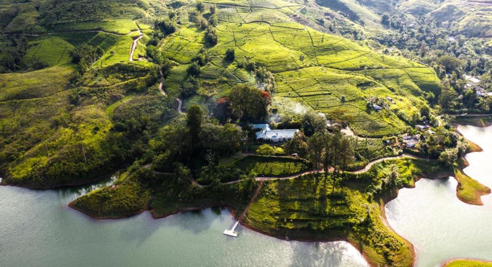 Aerial View of Tea Trails