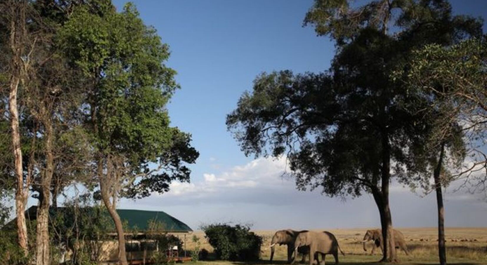 Photo of Little Governors' Camp