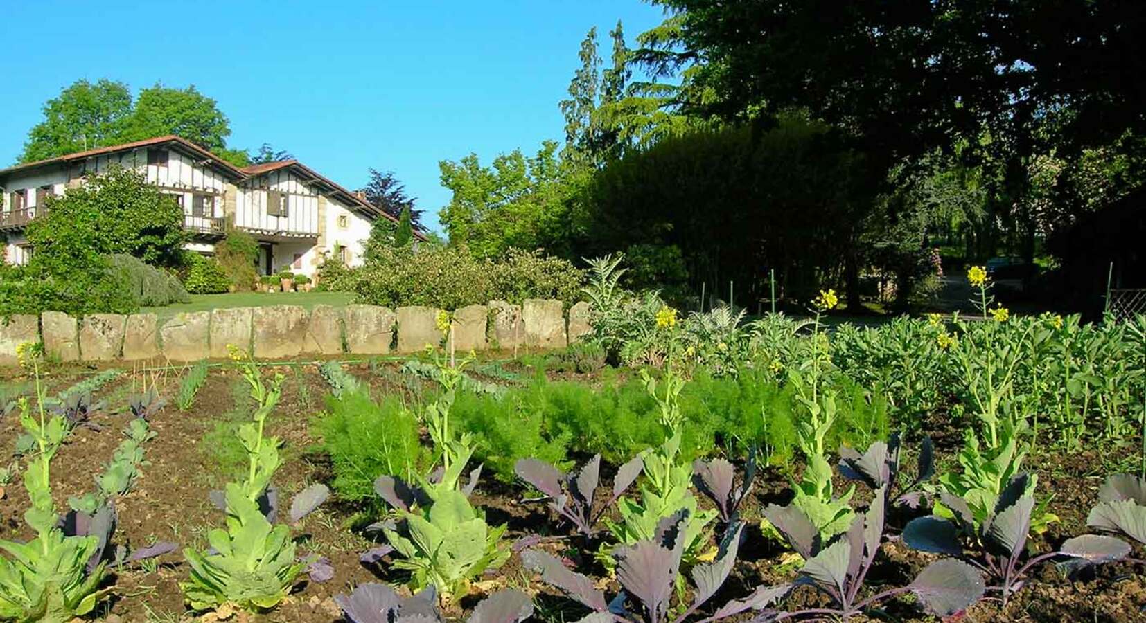 The kitchen garden