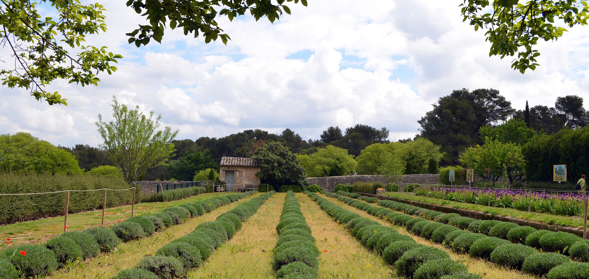 Foto von St Rémy-de-Provence