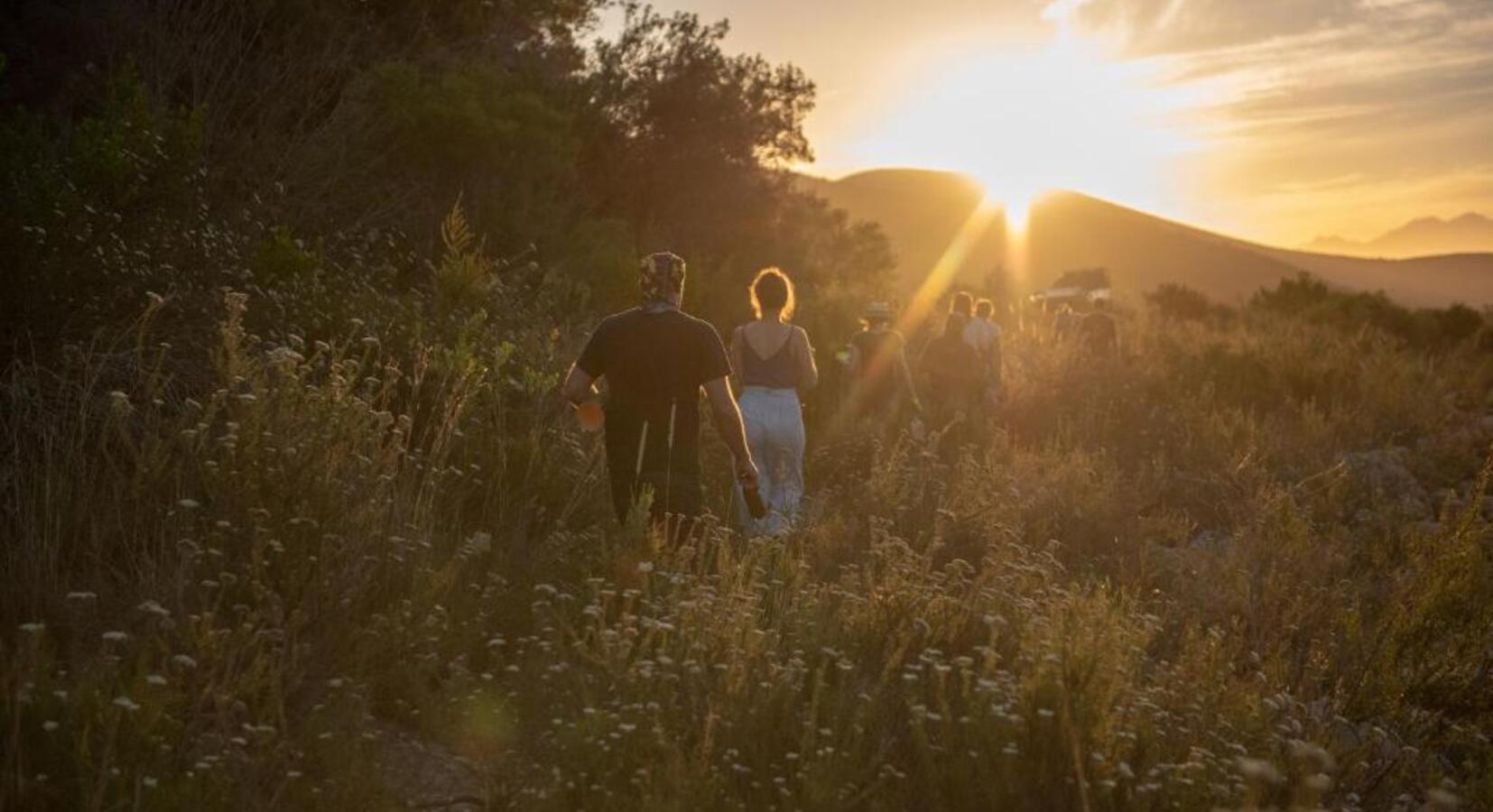 Bush Walk