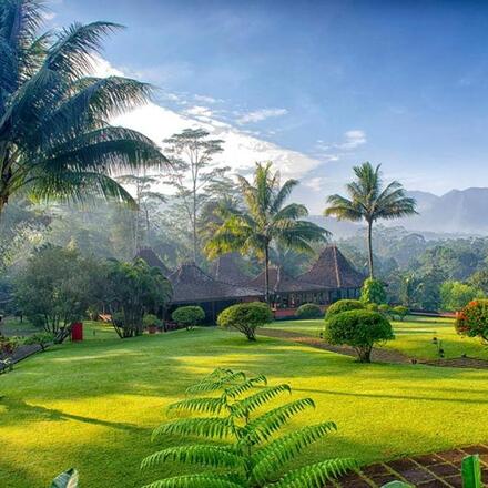 Gardens in the Sunshine