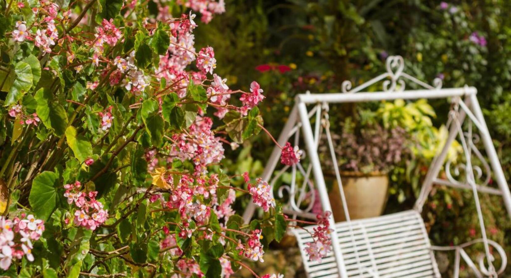 Flower-Filled Gardens