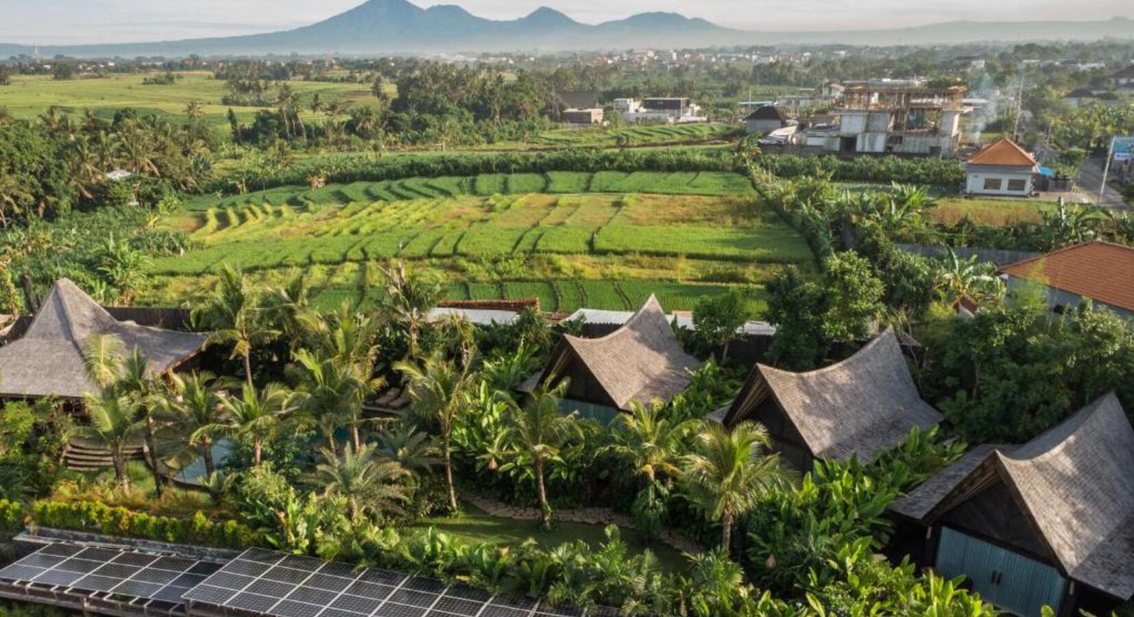 Aerial View - Paddy Fields and Solar Panels