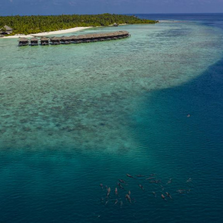 The 5 Best Value Hotels in the Maldives