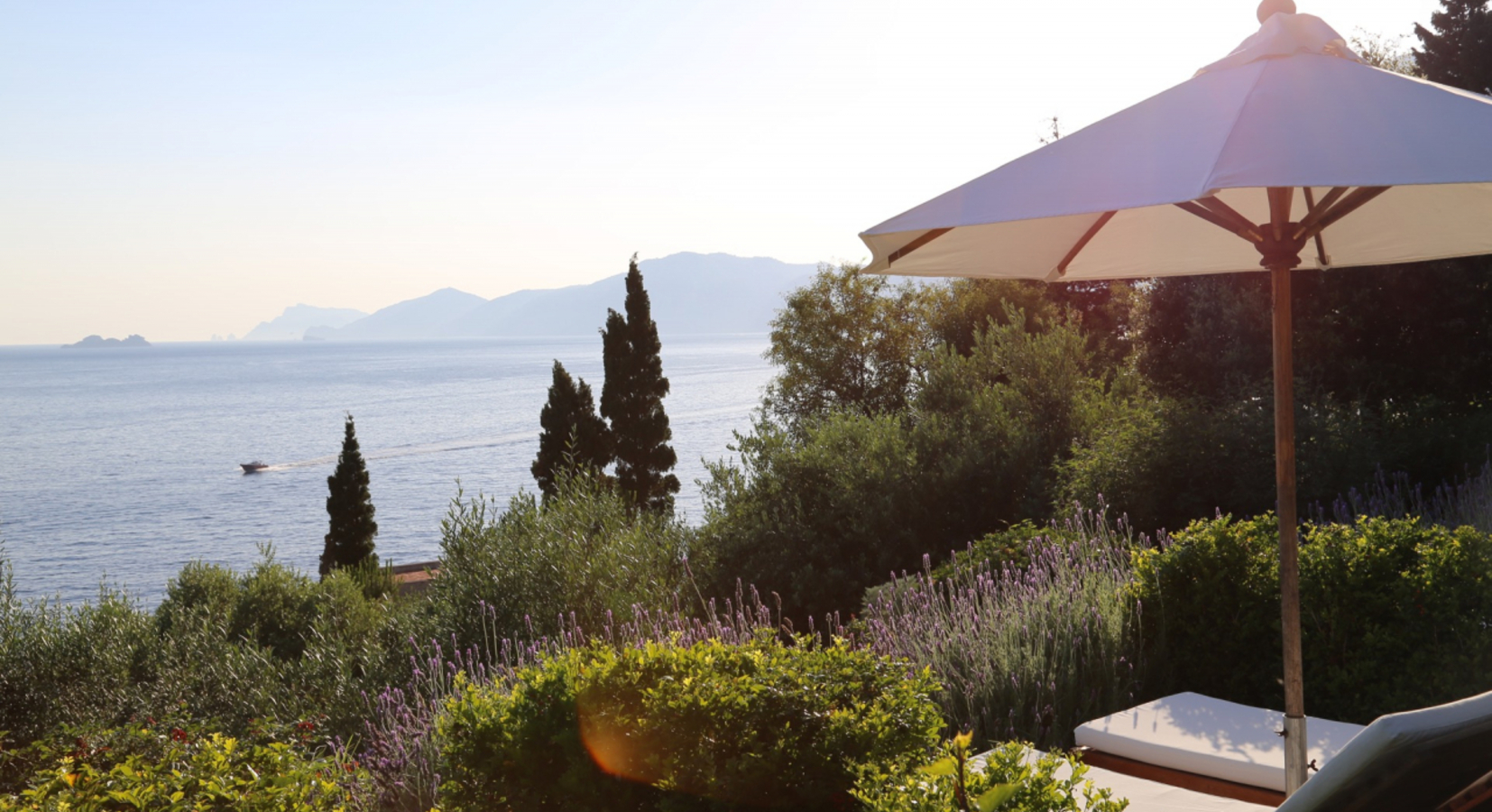 Garden with sun loungers